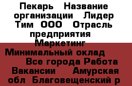 Пекарь › Название организации ­ Лидер Тим, ООО › Отрасль предприятия ­ Маркетинг › Минимальный оклад ­ 27 600 - Все города Работа » Вакансии   . Амурская обл.,Благовещенский р-н